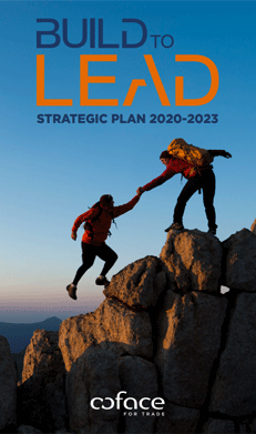 Build to Lead: our new strategic plan for 2020-2023